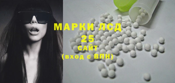 PSILOCYBIN Аркадак