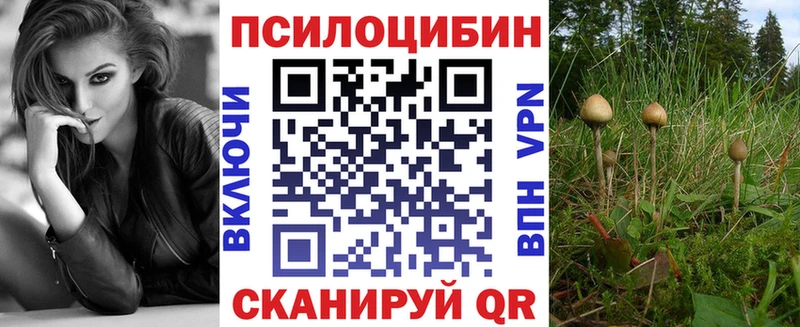 Псилоцибиновые грибы Psilocybe Обь